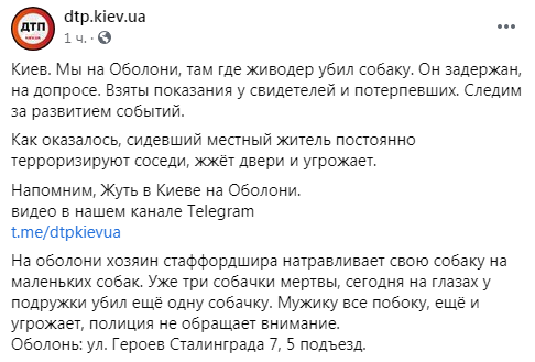 В Киеве на Оболони живодер травил бойцовского пса на маленьких собачек и убил четверых